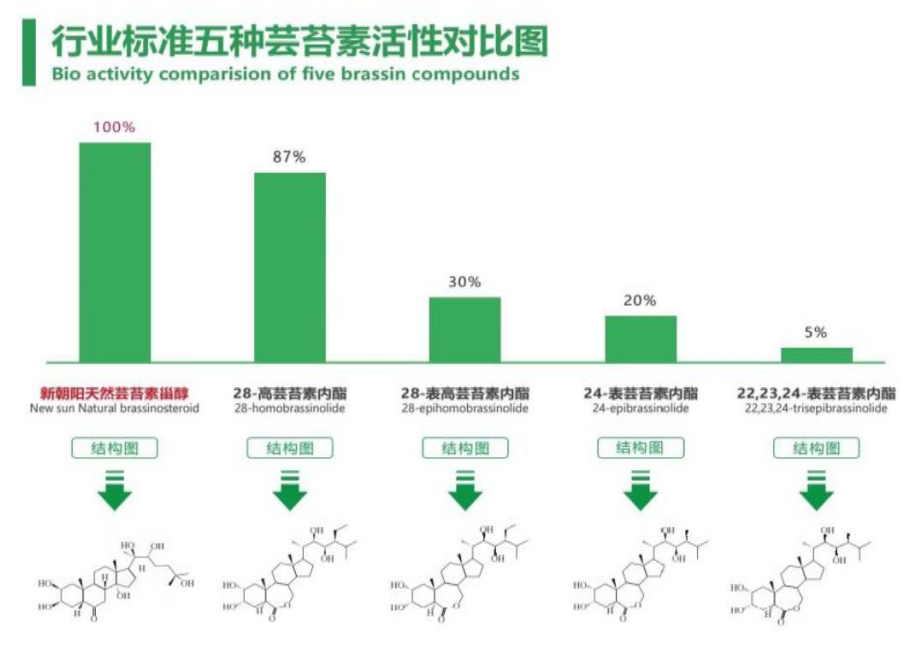 小麥拌種選新朝陽天然蕓苔素，讓小麥高產(chǎn)贏在起跑線上?。ㄐ←溤谑裁磿r候用蕓苔素效果最佳）